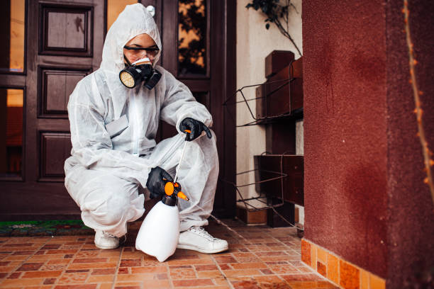Attic and Crawl Space Rodent Treatment in Laughlin